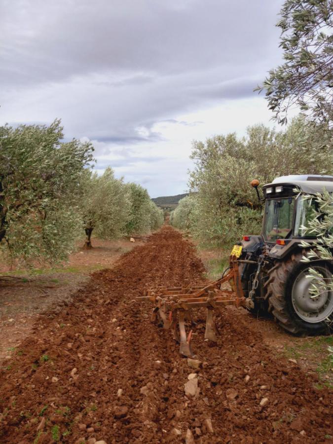 Le Bosc  Escale Au Salagou المظهر الخارجي الصورة